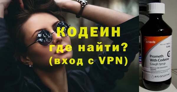 ECSTASY Богданович