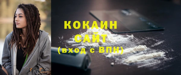 ECSTASY Богданович