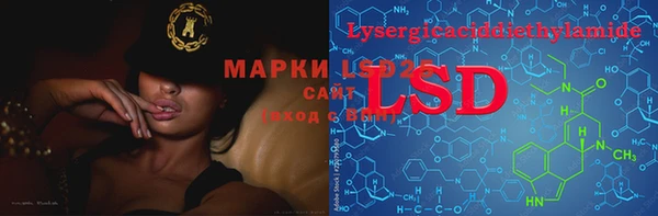 ECSTASY Богданович