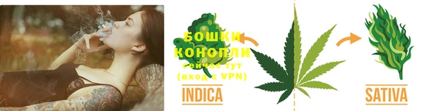 ECSTASY Богданович