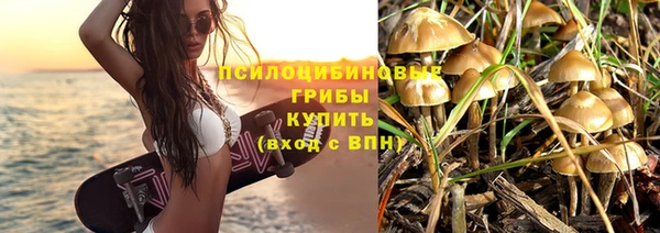 стаф Богородицк