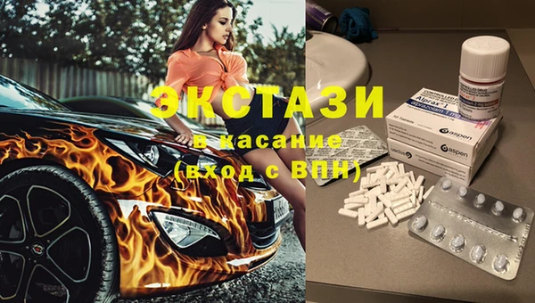 ECSTASY Богданович