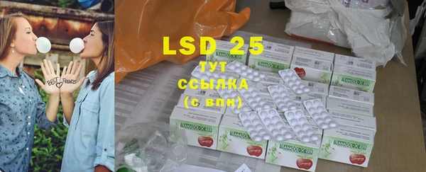 ECSTASY Богданович