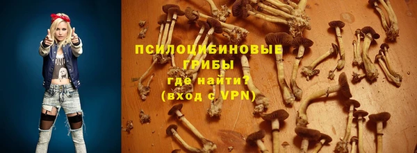 стаф Богородицк