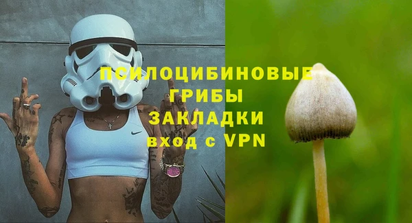 ECSTASY Богданович