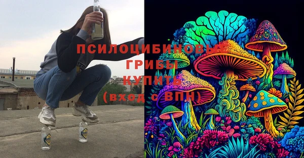 стаф Богородицк
