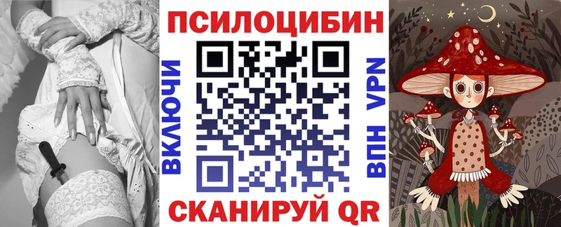купить ОМГ ОМГ рабочий сайт Псилоцибиновые грибы Psilocybine cubensis Реж