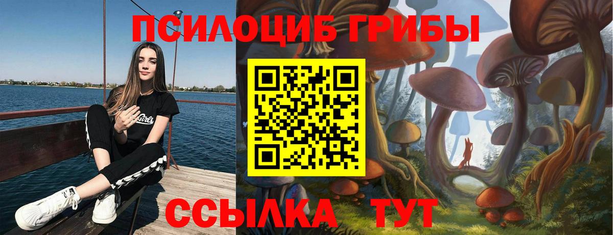 Галлюциногенные грибы мицелий Реж